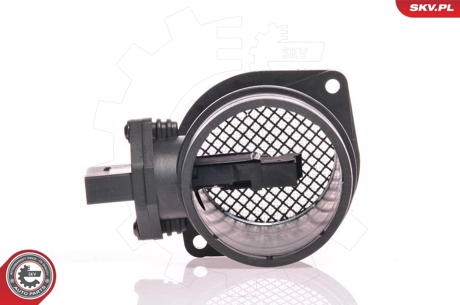 Mass Air Flow Sensor